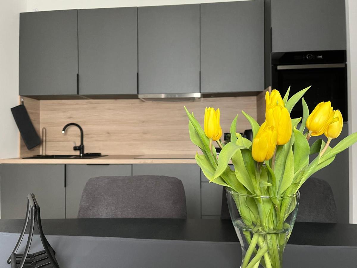 זאגרב Apartment Kammi מראה חיצוני תמונה